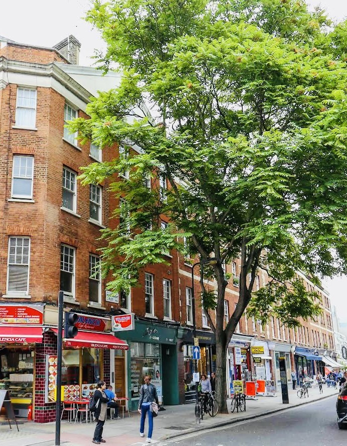 Russell Square